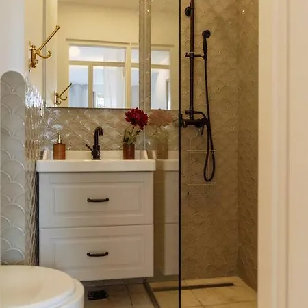 Amazing View Calea Victoriei Old Apartment *