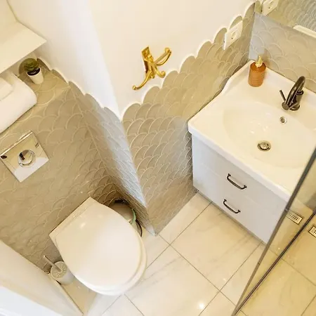 Amazing View Calea Victoriei Old Apartment *