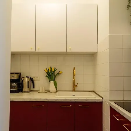 Apartment Amazing View Calea Victoriei Old