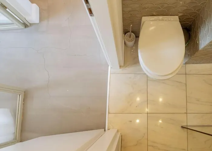 Amazing View Calea Victoriei Old *