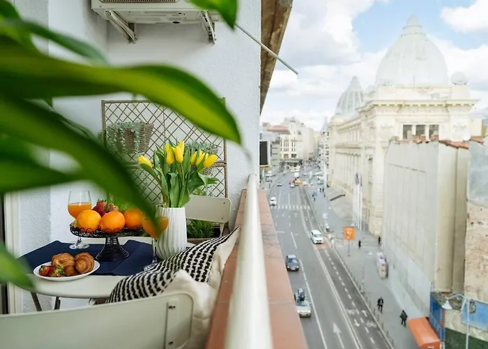 Amazing View Calea Victoriei Old Daire